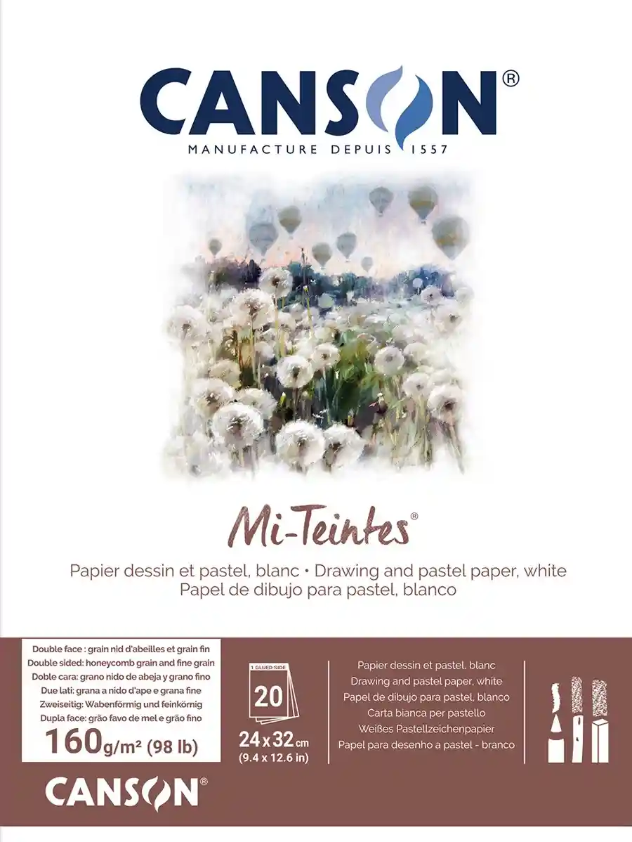 CANSON Mi-Teintes ART Pad 20 Sheets 160 GSM — buy online Pakistan COD